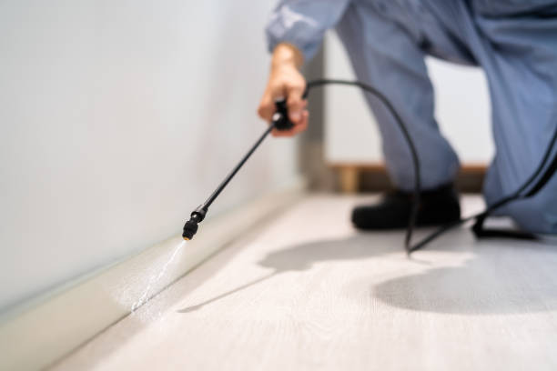 Licensed Fumigation Services service in Fergus County County, MT - Nex Pest Control